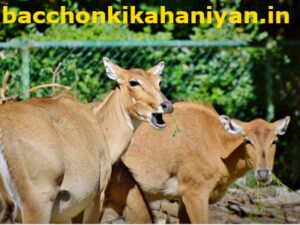 लकड़बग्घा (Lakadbaggha) animal ki kahani