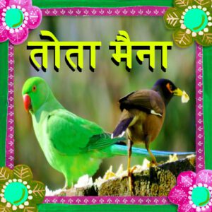 हिंदी कहानियां लिखी हुई: तोता मैना-Tota Maina ki Kahani in hindi